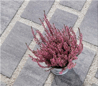 Best-Akvabelis 80 mm colormix arabica 80x300x120